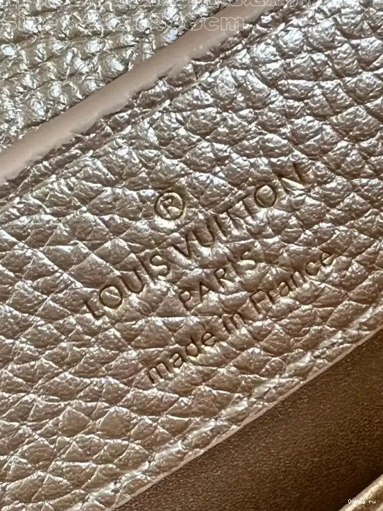 MINI-21*14*8CM VUITTON CAPUCINES LOUIS 0420